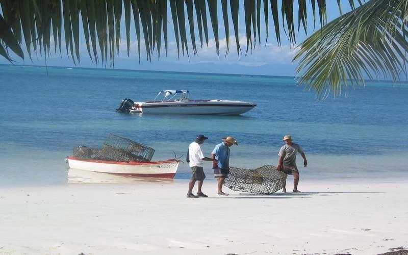 Villas De Mer Grand Anse  Luaran gambar